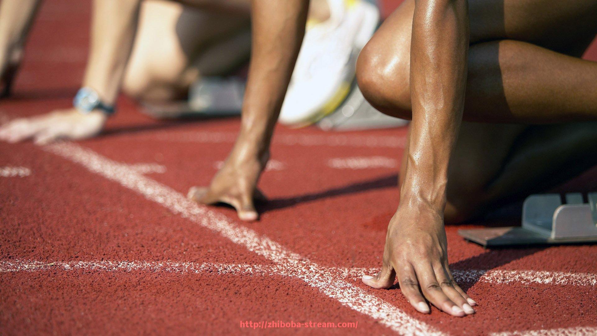 直播吧-进口综合健身器材配置优势与进口流程解析